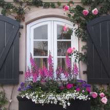 English garden scene with flowers around a window by steve sharp