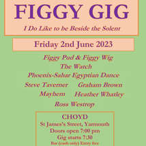June figgy gig poster1024 1
