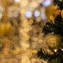 Gold lights and christmas tree with gold decorations by maximilian muller