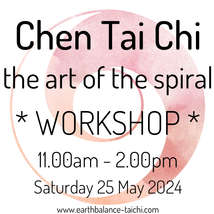 Chen tai chi spiral workshop