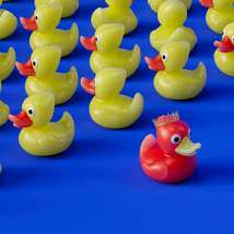 Plastic ducks by igor omilaev %281%29