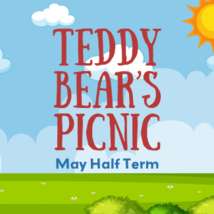 Tedybear picnic