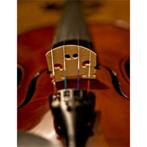 Fiddle angela anderson cobb